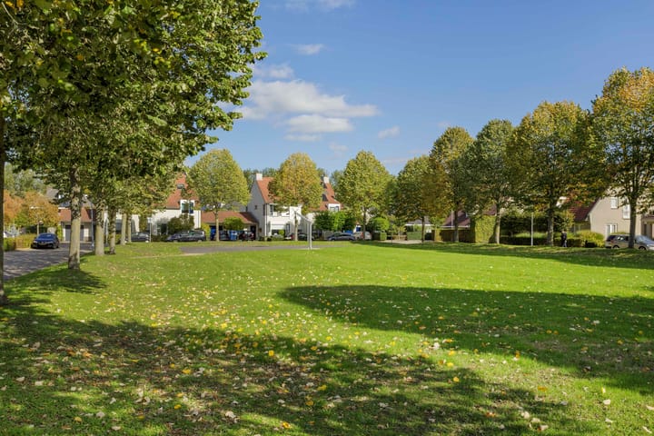 Photo 42 of Wouterus van der Doelenstraat 10