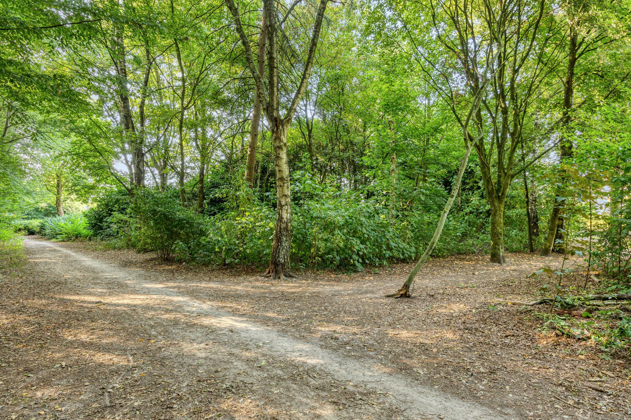 Photo 48 of Petrus Vossenstraat 6