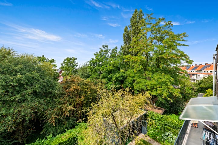 Foto 27 van West-Sidelinge 314