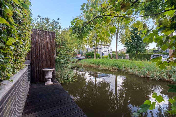 Foto 18 van Purperreiger 22