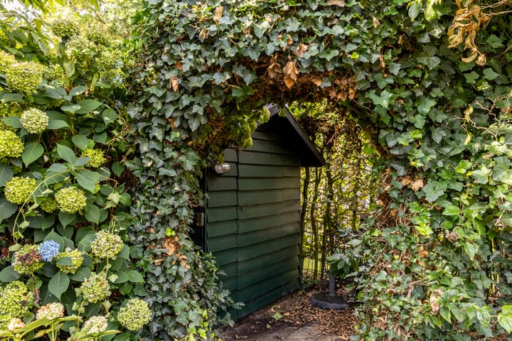 Photo 29 of Elsenwas 20