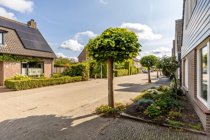 Photo 33 of Elsenwas 20