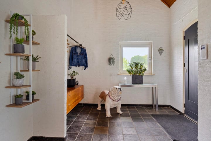 Foto 4 van de Counelaan 22