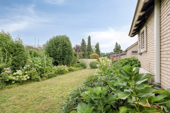 Foto 35 van de Counelaan 22