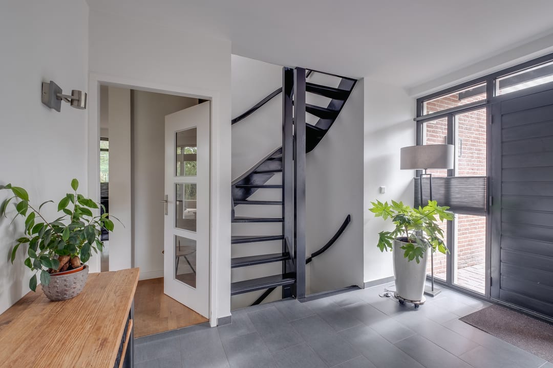 Photo 16 of Witbol 11