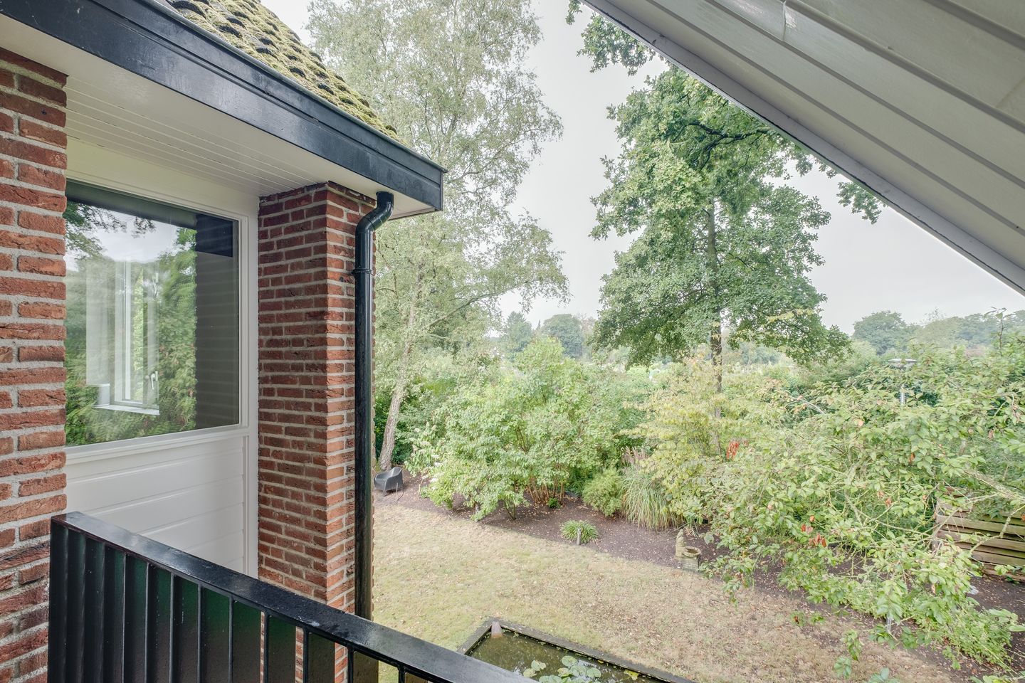 Photo 20 of Witbol 11