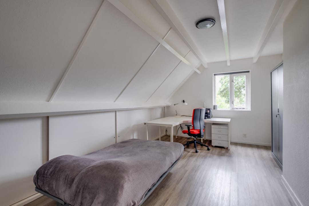 Photo 23 of Witbol 11