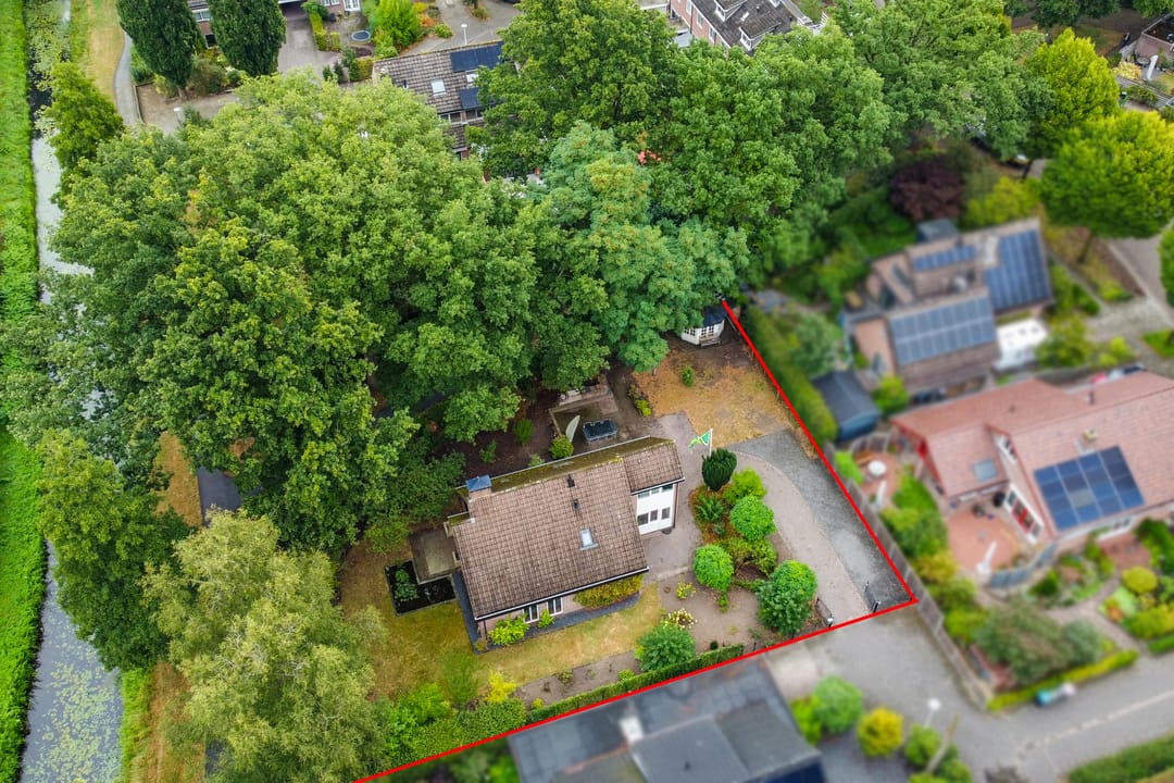 Photo 28 of Witbol 11