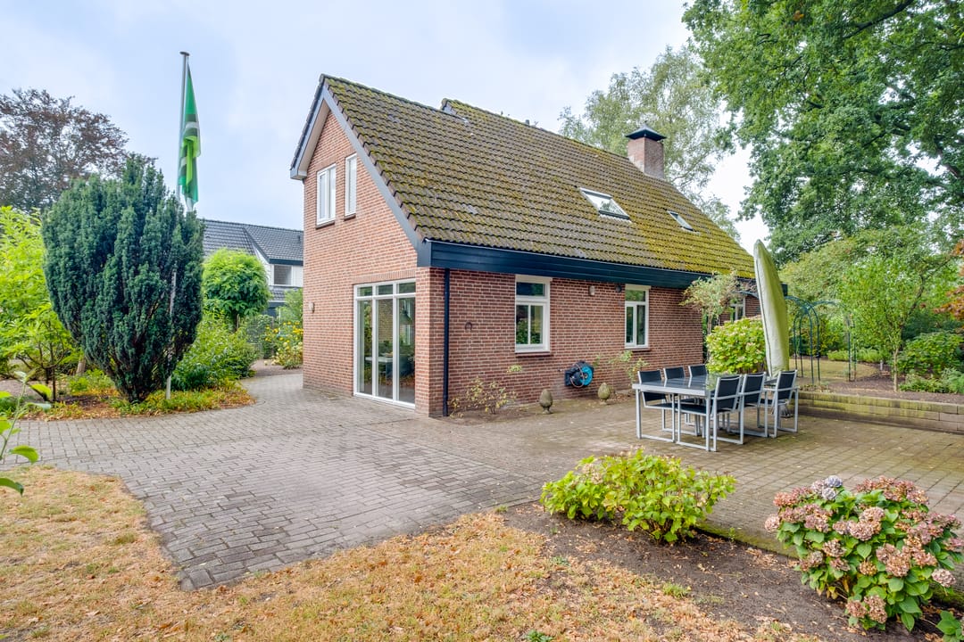 Photo 32 of Witbol 11