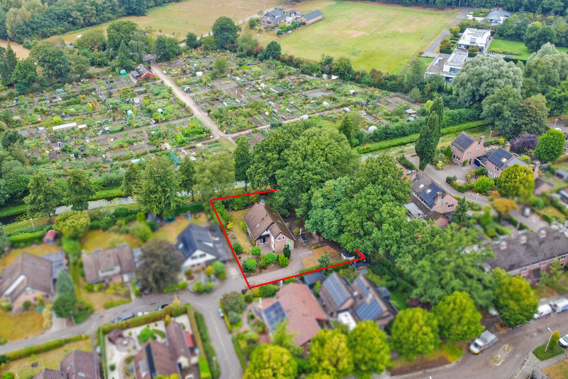 Photo 33 of Witbol 11