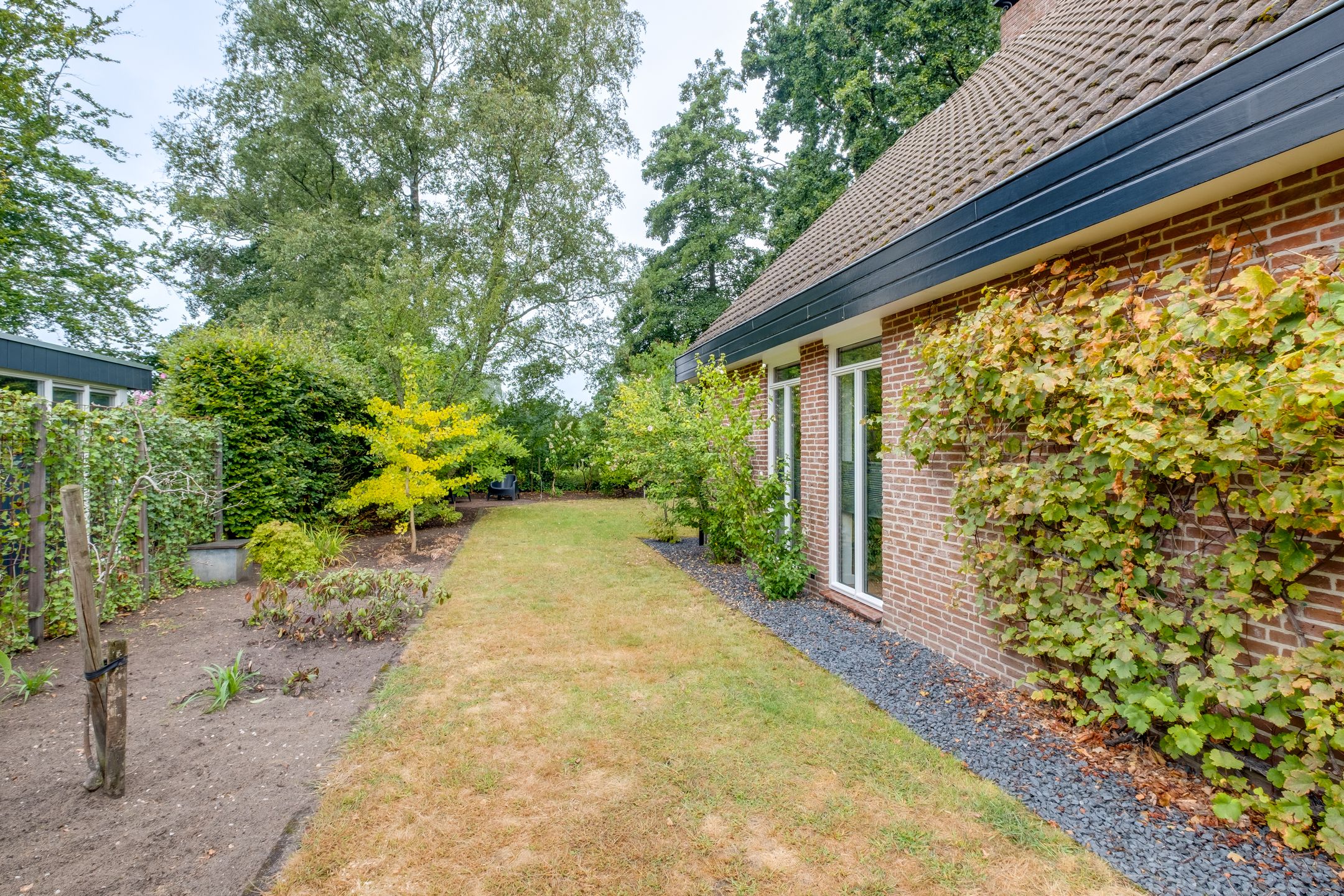 Photo 30 of Witbol 11