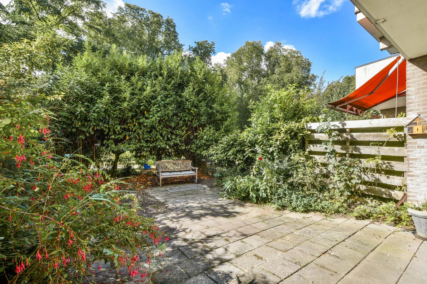 Foto 1 van Wamelstraat 128