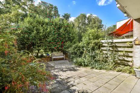 undefined main image