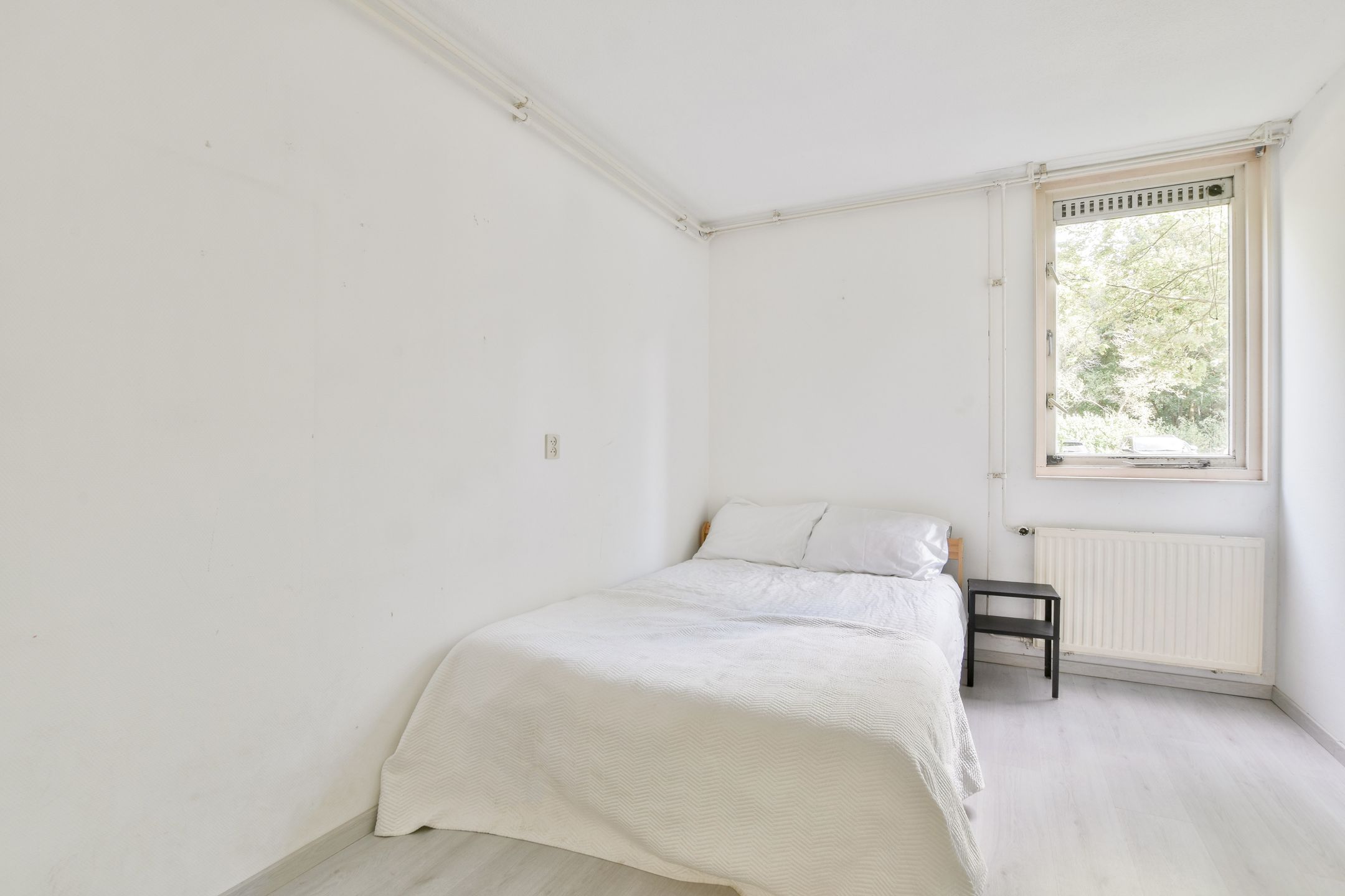 Foto 18 van Wamelstraat 128