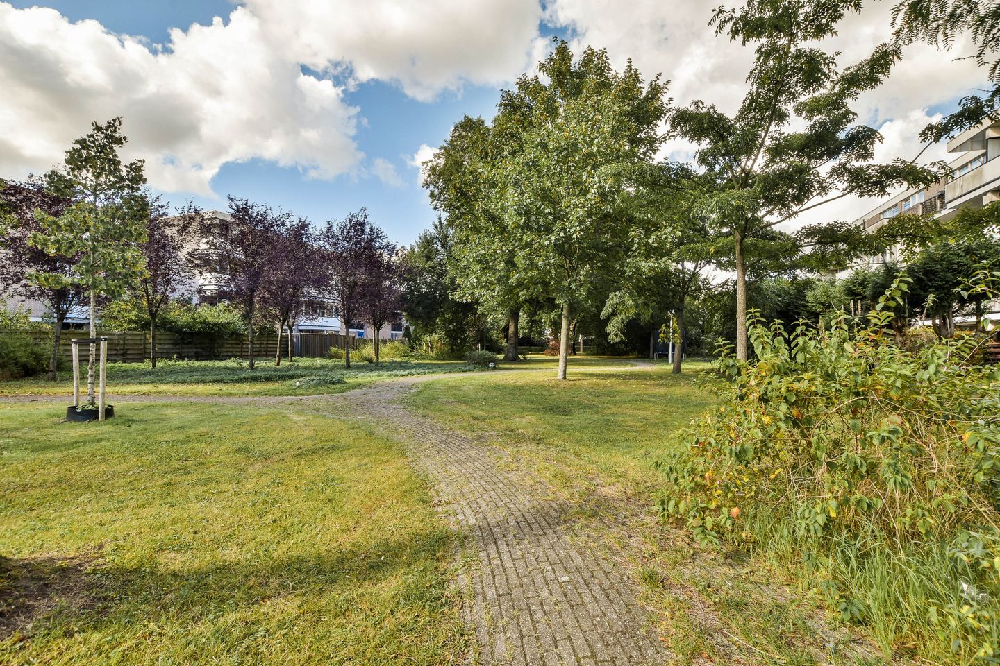 Foto 25 van Wamelstraat 128