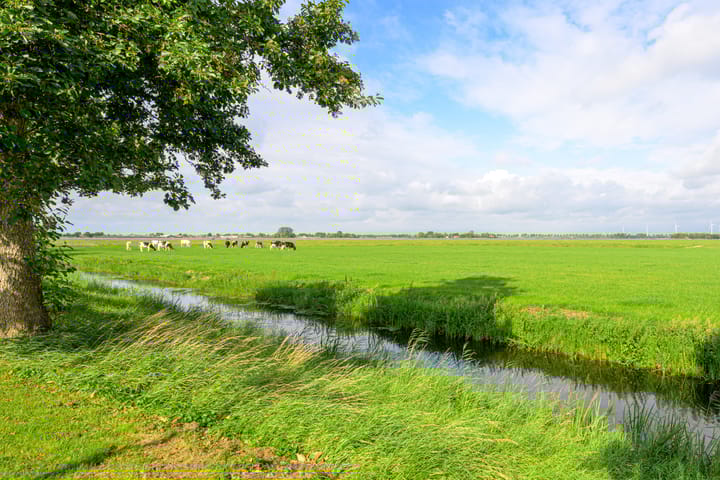 Foto 4 van Veldbies 13