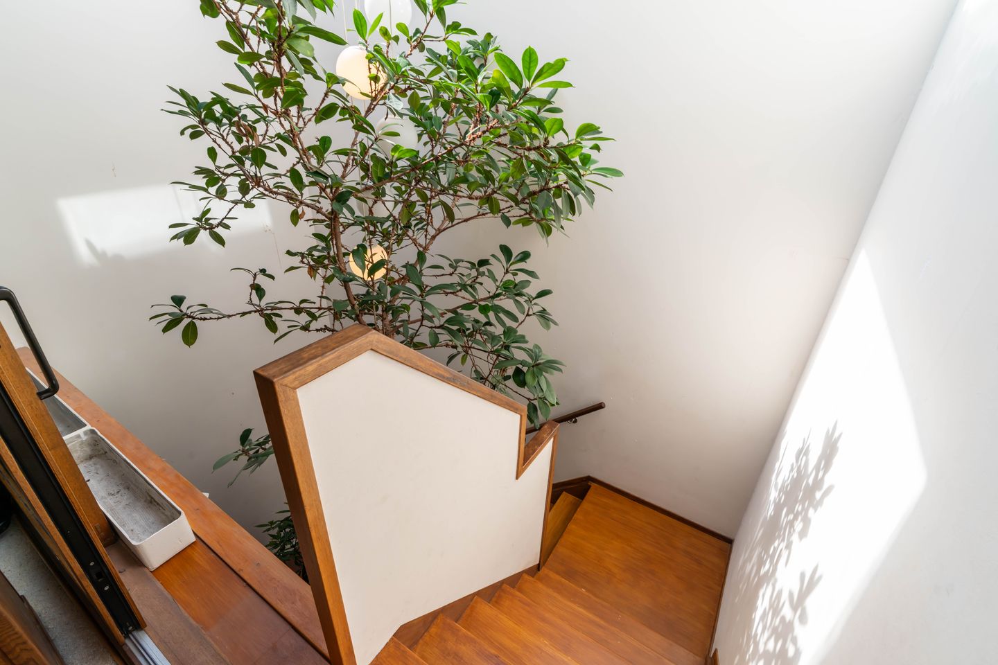 Foto 29 van Hasseltsestraat 7