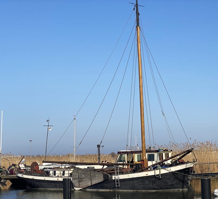 Oostvaardersdijk 99012