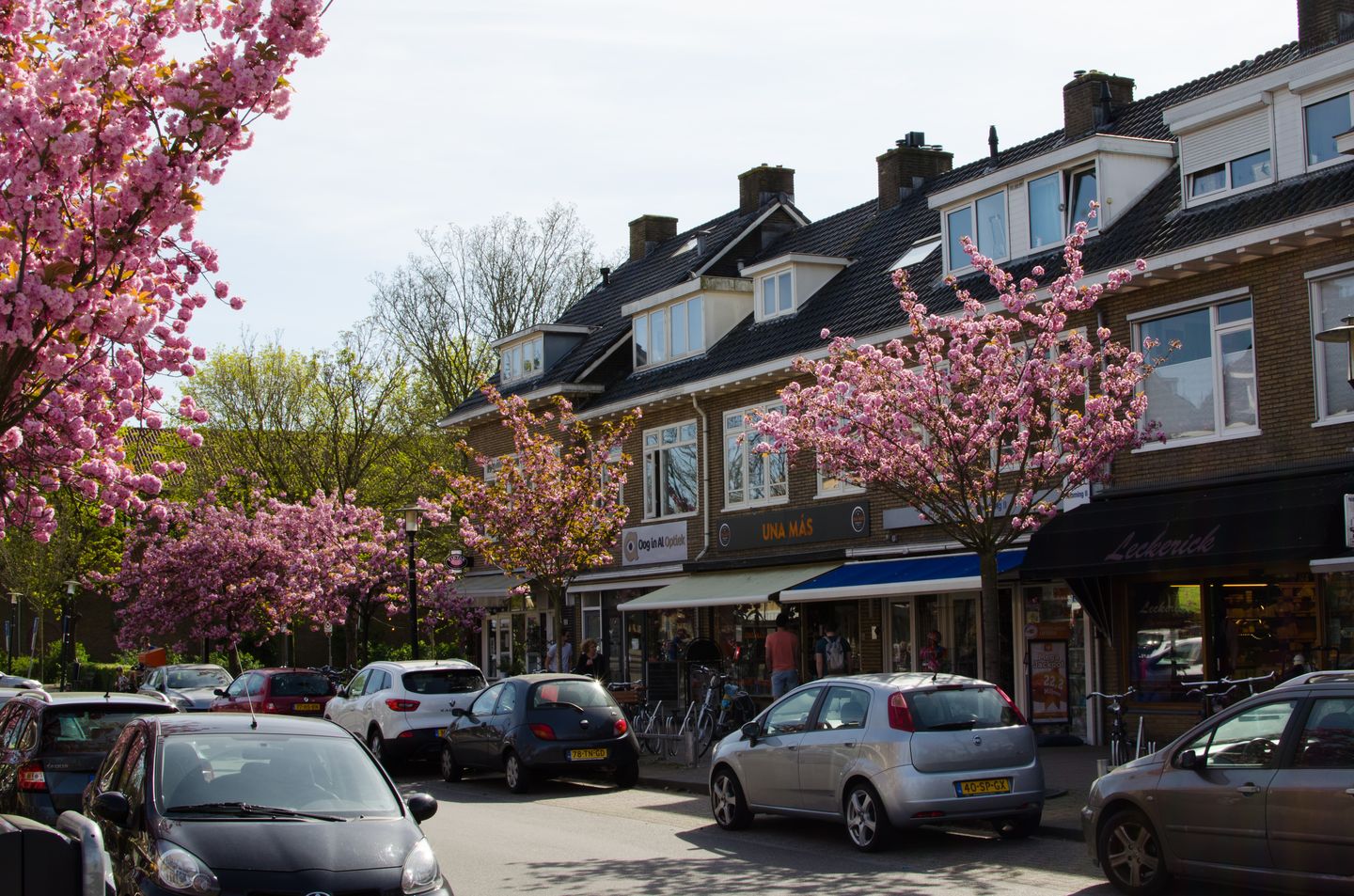 Foto 40 van Catharina van Renneslaan 10