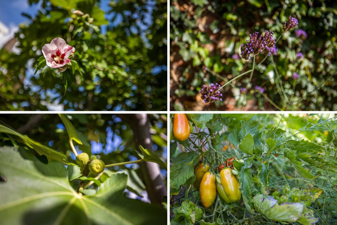 Foto 16 van Catharina van Renneslaan 10