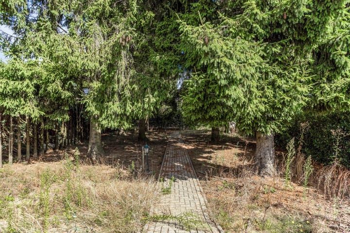 Foto 38 van Dr.Biermansstraat 6