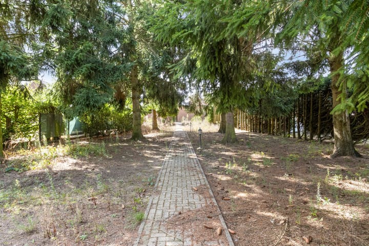 Foto 40 van Dr.Biermansstraat 6