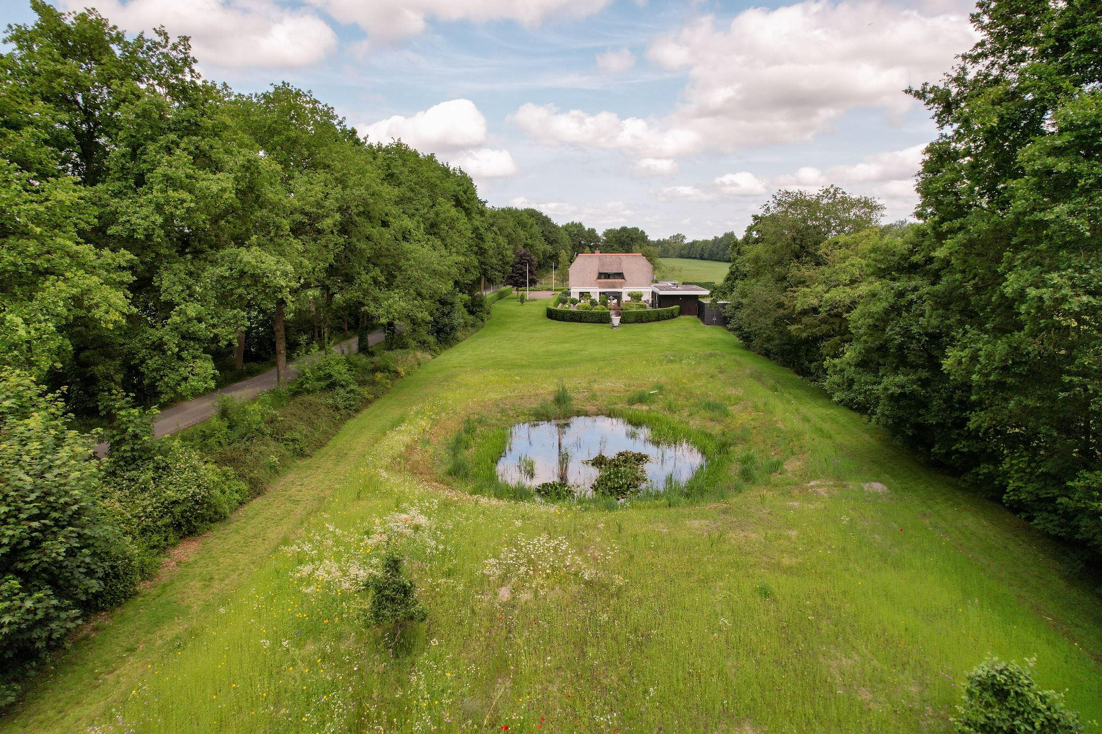 Foto 3 van Skieppedrifte 5