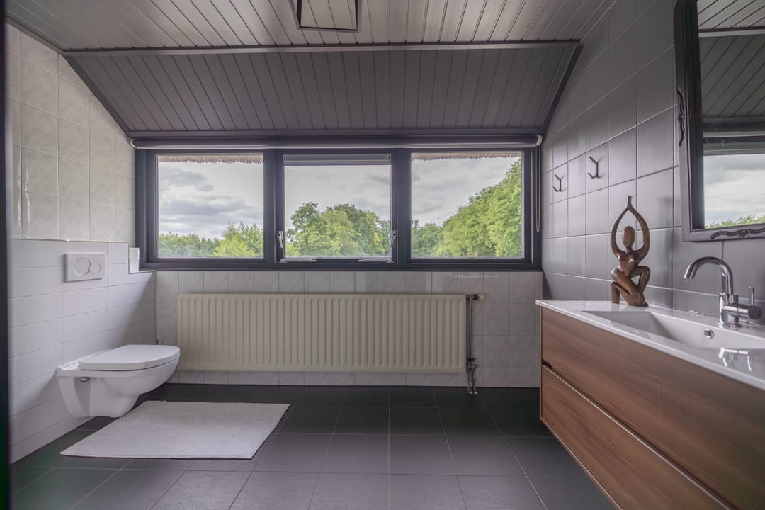 Foto 43 van Skieppedrifte 5