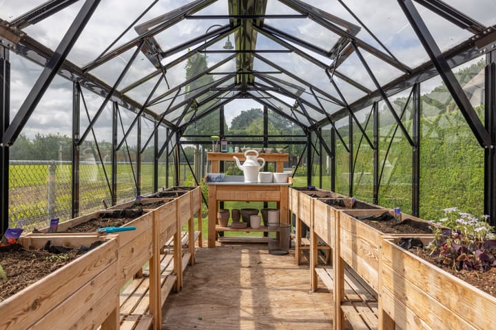 Foto 56 van Skieppedrifte 5