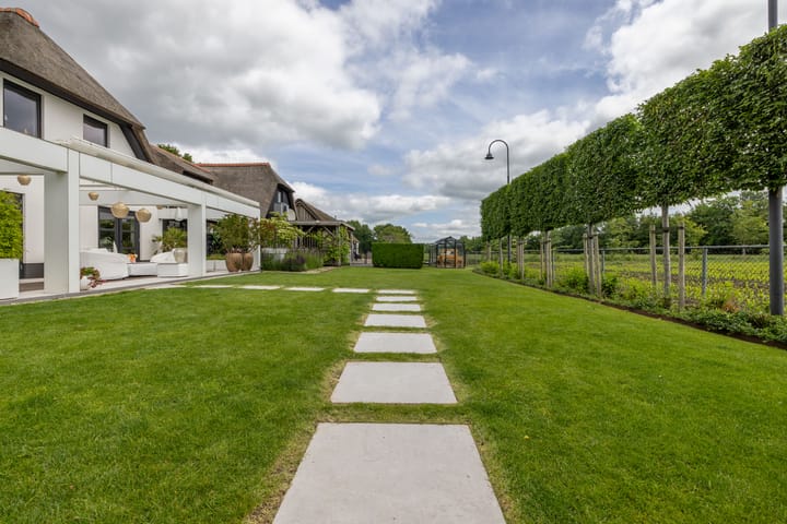 Foto 65 van Skieppedrifte 5