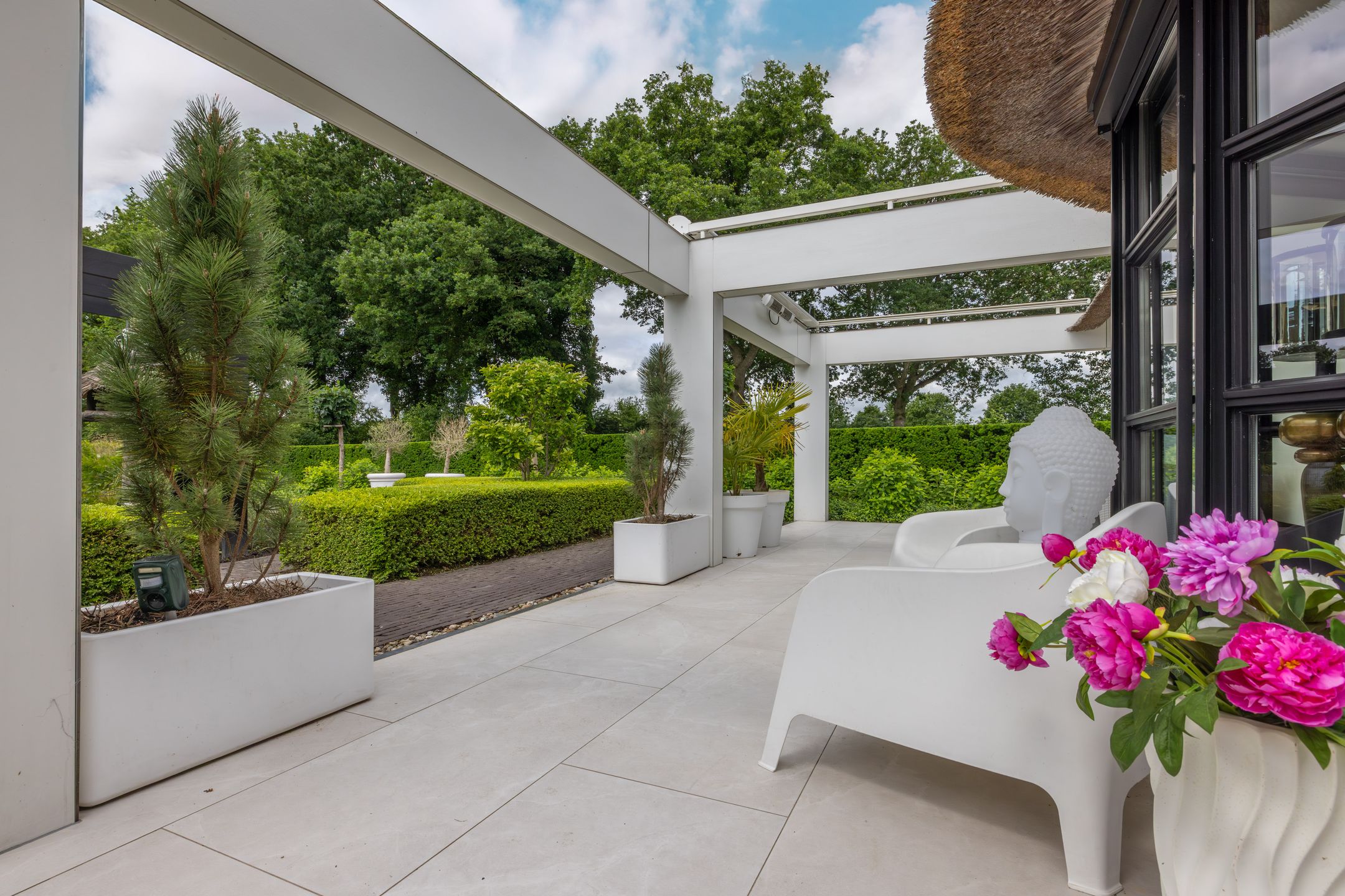 Foto 69 van Skieppedrifte 5