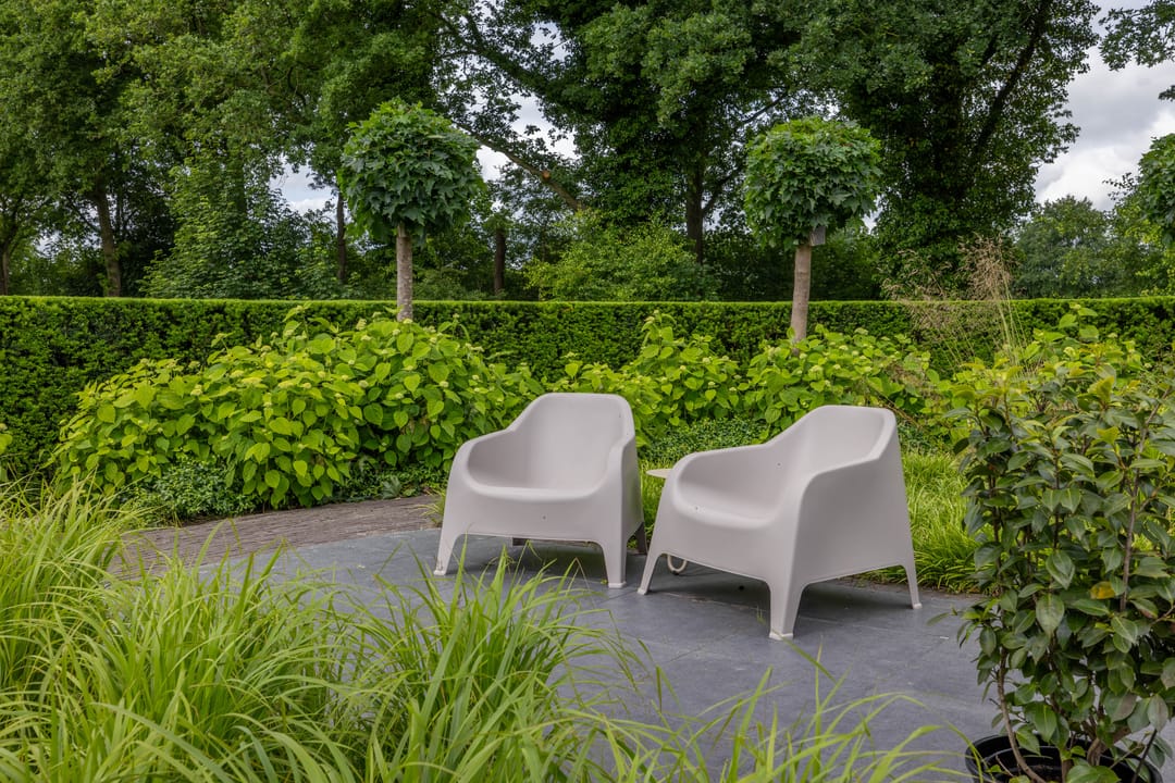 Foto 71 van Skieppedrifte 5