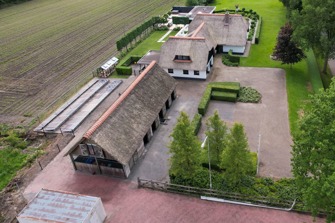 Foto 76 van Skieppedrifte 5