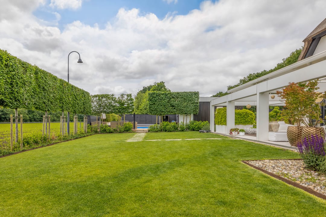 Foto 98 van Skieppedrifte 5