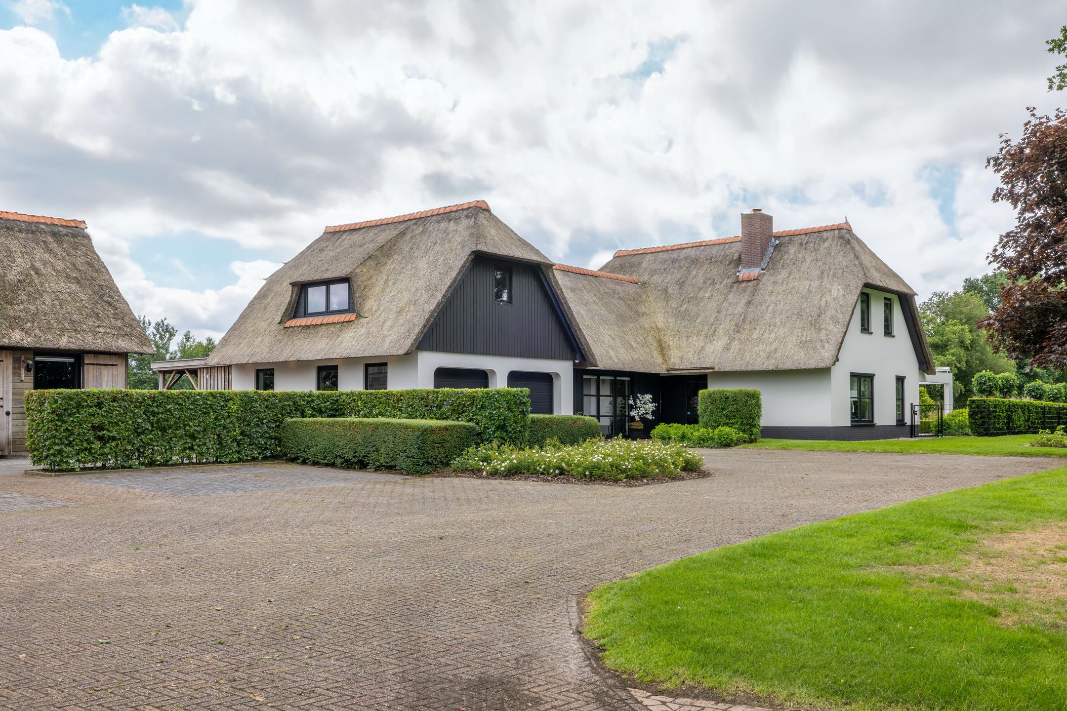 Foto 99 van Skieppedrifte 5