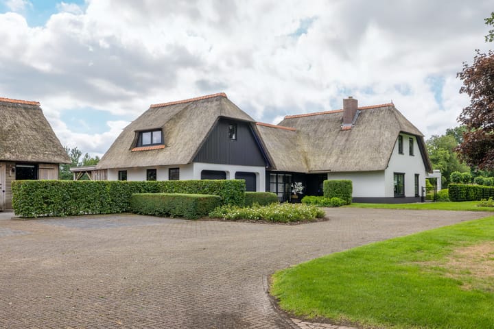 Foto 99 van Skieppedrifte 5