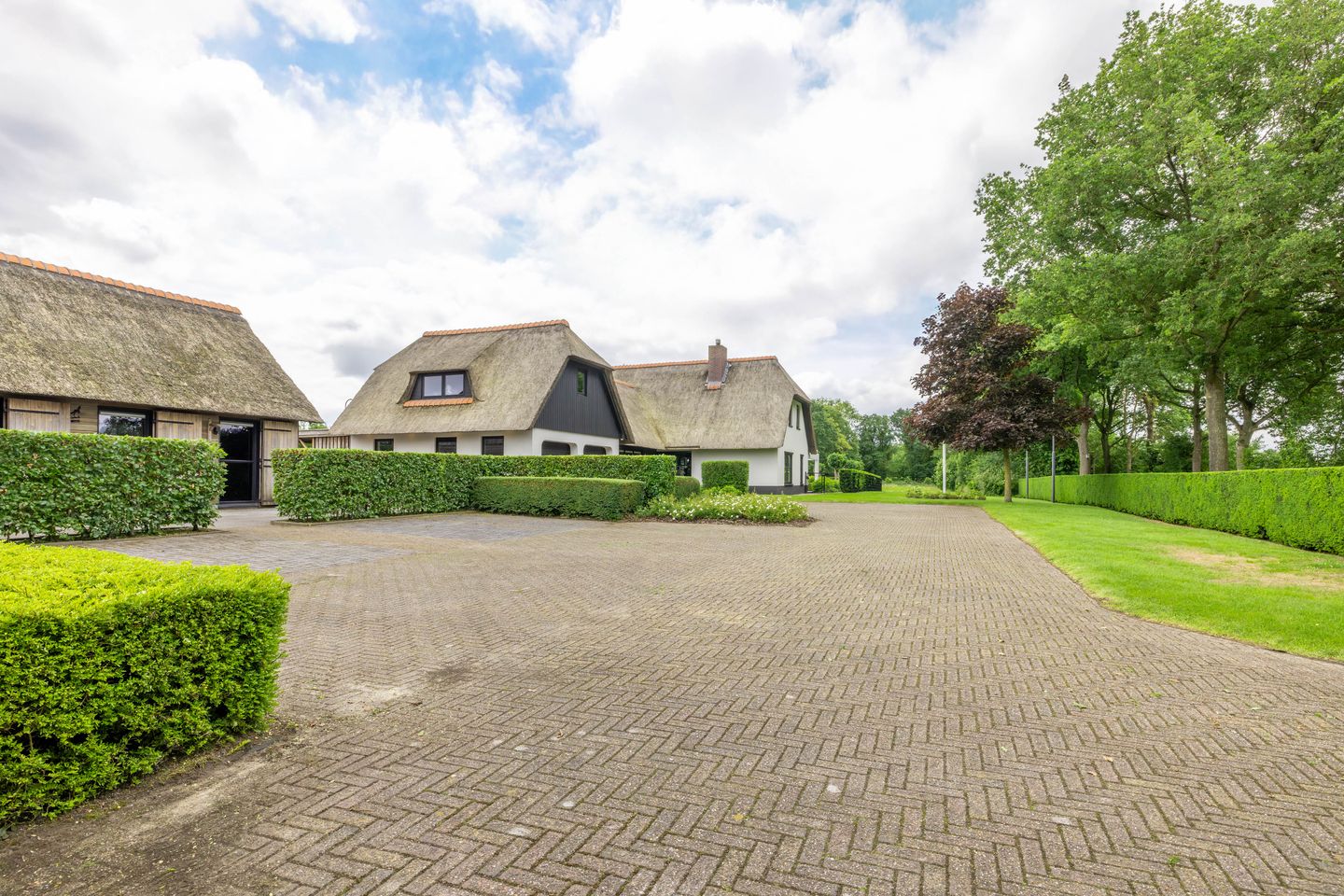 Foto 100 van Skieppedrifte 5