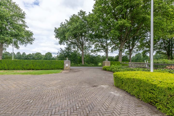 Foto 101 van Skieppedrifte 5