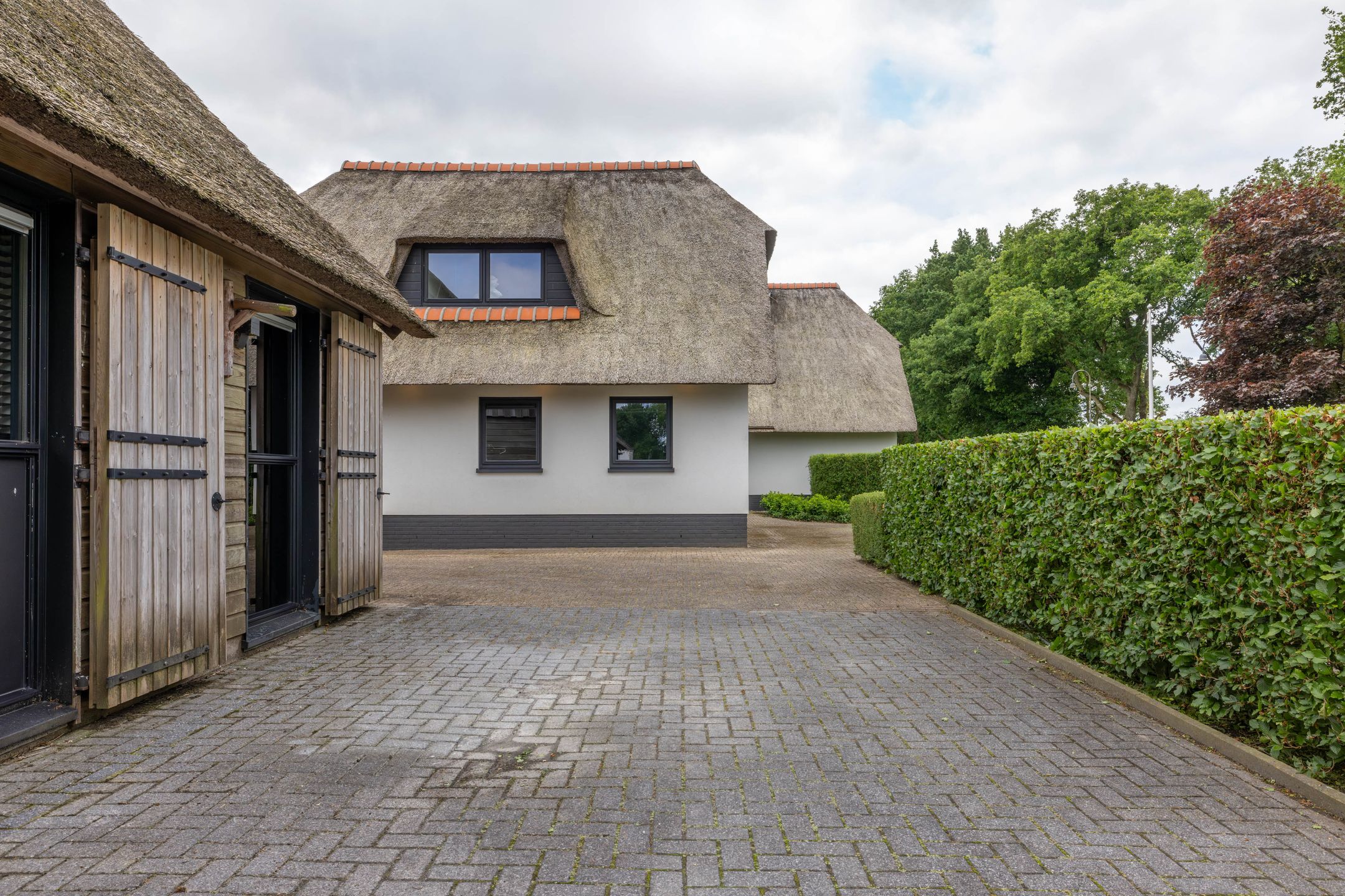 Foto 102 van Skieppedrifte 5