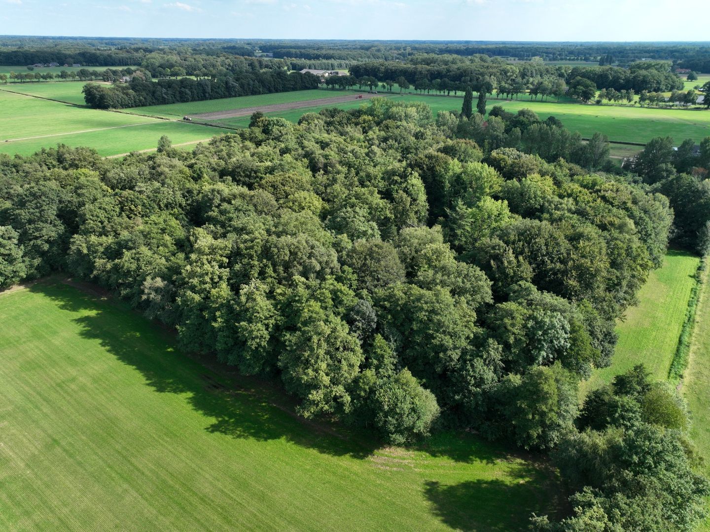 Bekijk foto 4 van Dennendijk 2-nabij