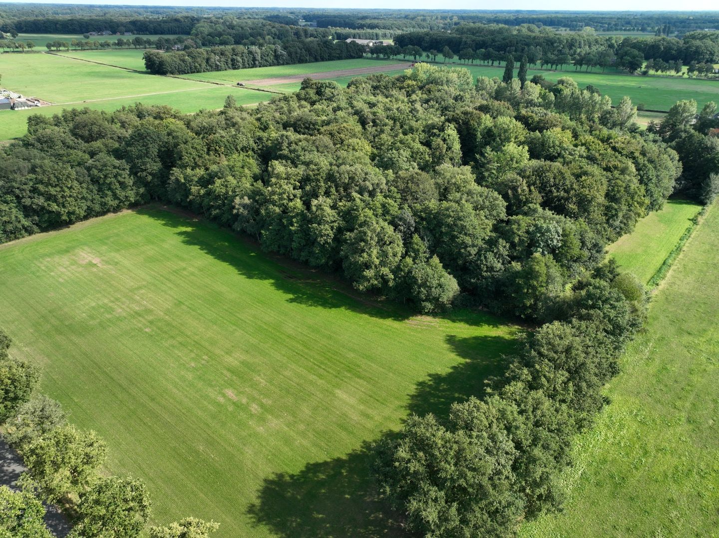 Bekijk foto 3 van Dennendijk 2-nabij