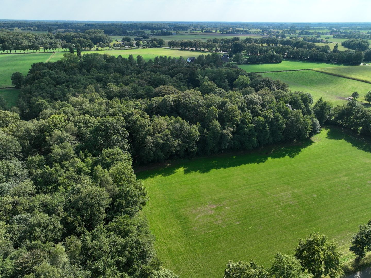 Bekijk foto 5 van Dennendijk 2-nabij