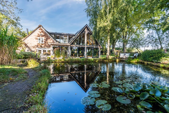 Kievitshaar 7 main image