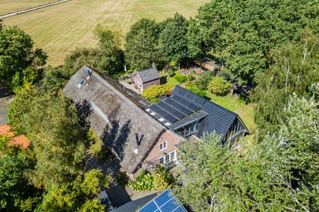 Kievitshaar 7 secondary image