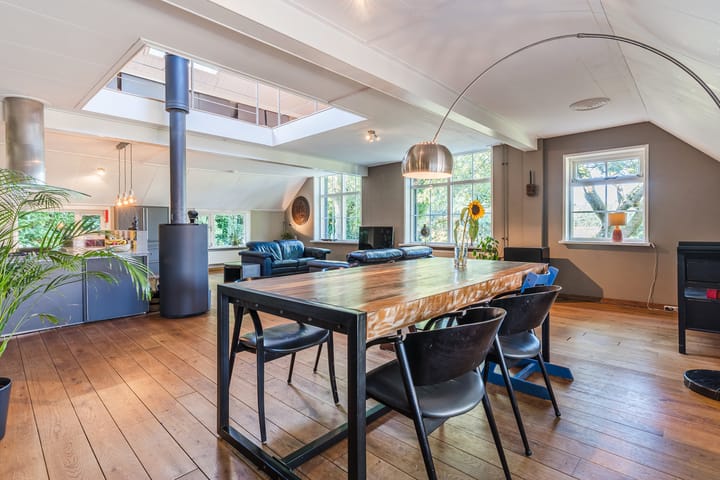 Foto 7 van Kievitshaar 7