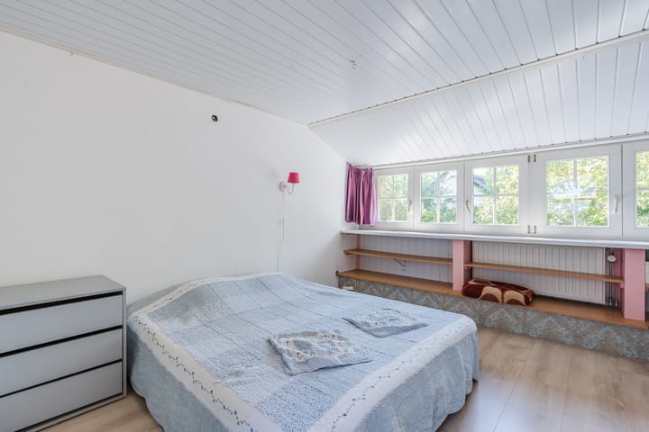 Foto 37 van Kievitshaar 7