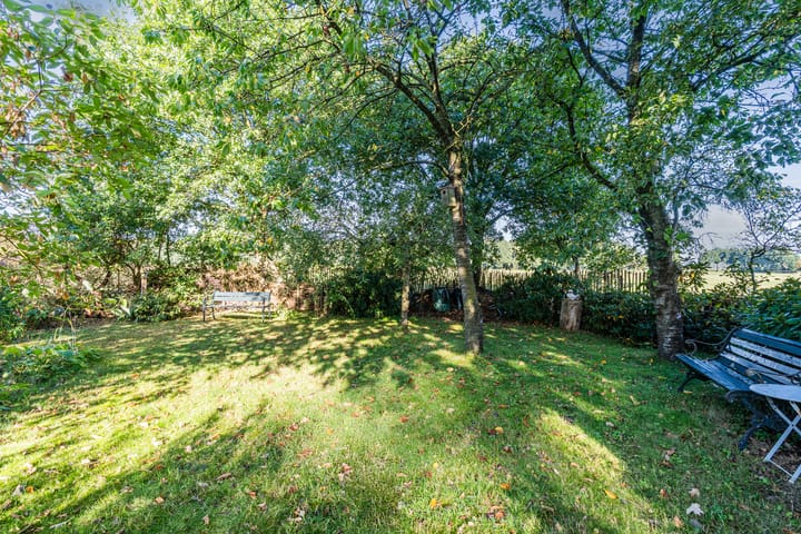 Foto 55 van Kievitshaar 7