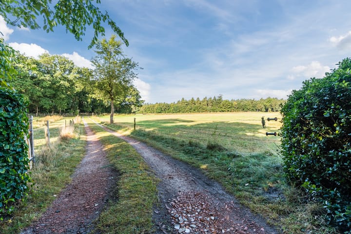 Foto 68 van Kievitshaar 7