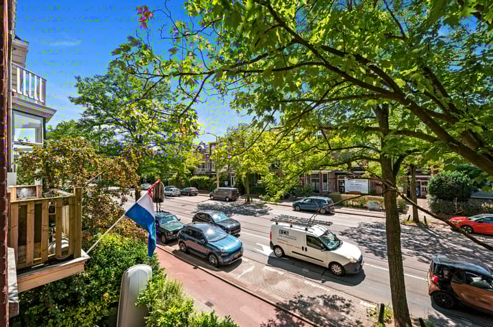 Foto 38 van Laan van Nieuw-Oost-Indië 166