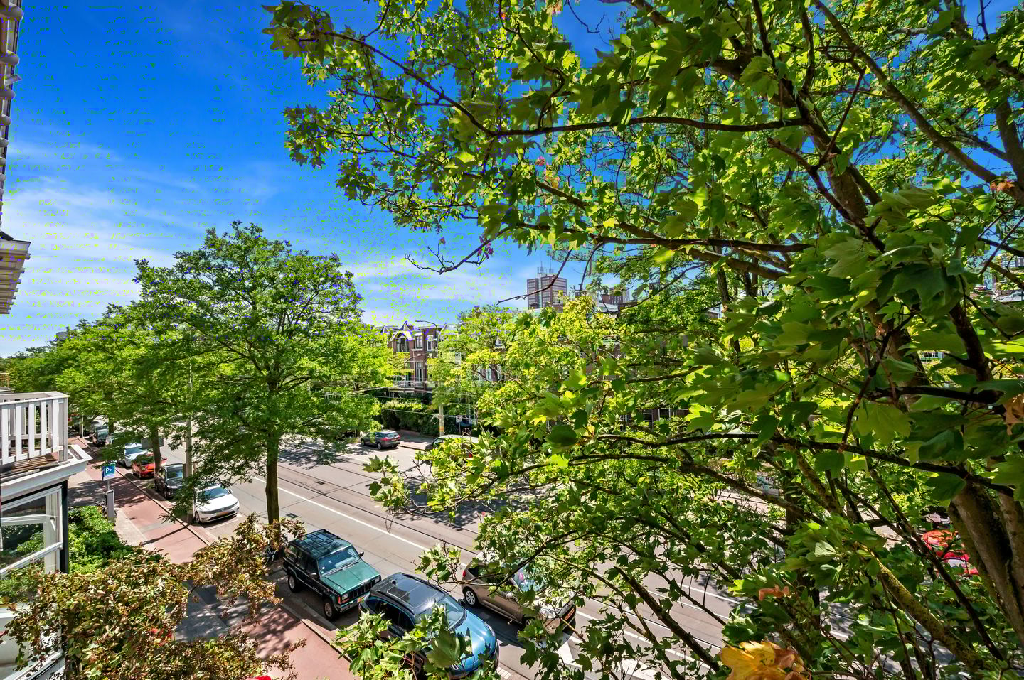 Photo 49 of Laan van Nieuw-Oost-Indië 166